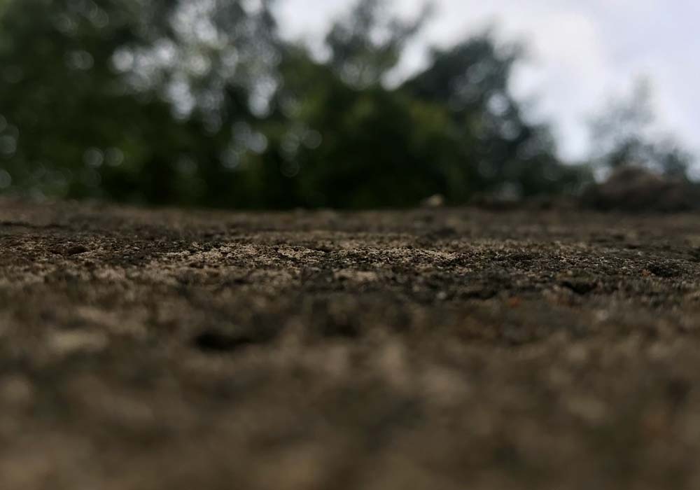 Dirt.jpg