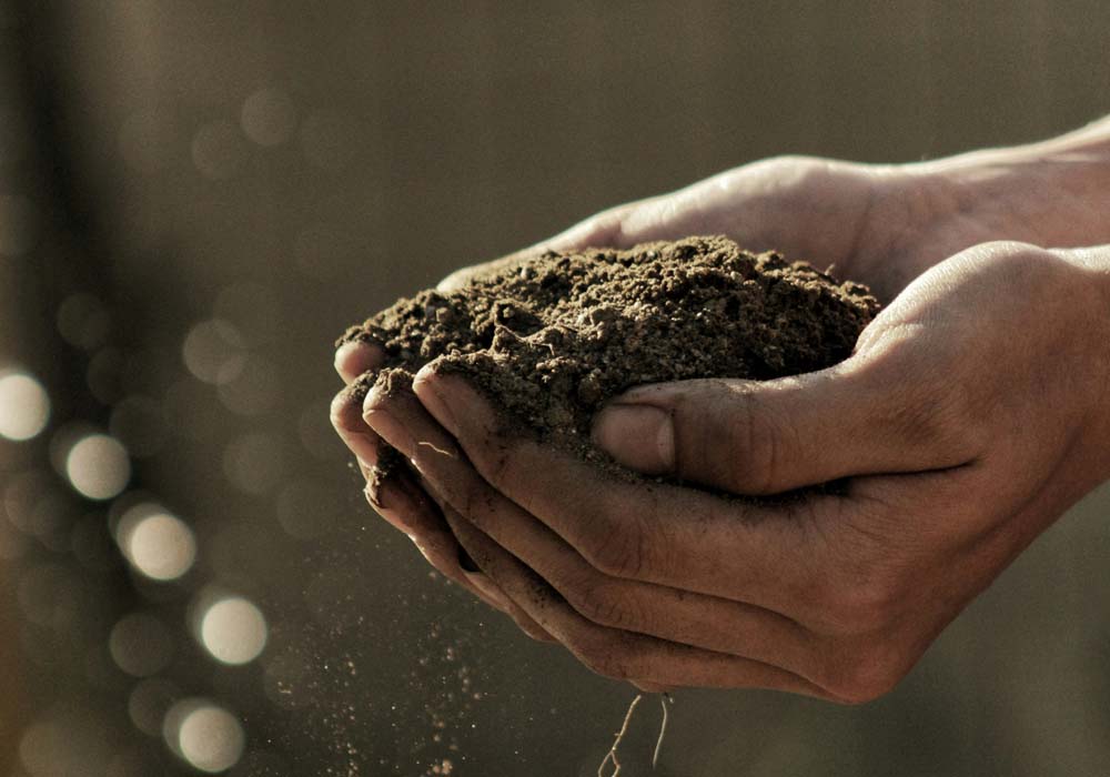 top-dress-soil.jpg