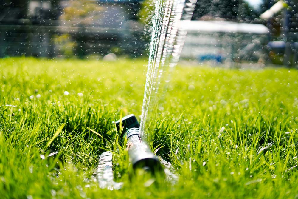 watering-new-lawn.jpg