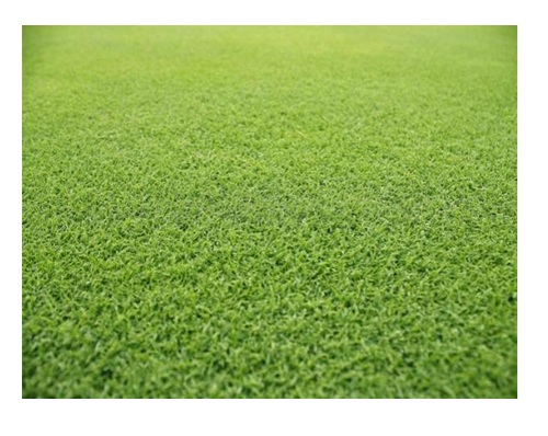 Santa Ana CouchTurf